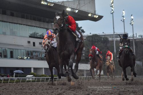Tarde redonda para San Jorge, dos trofeos más en su cuenta