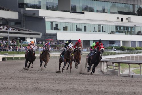 A un paso de la Triple Corona de Las Américas